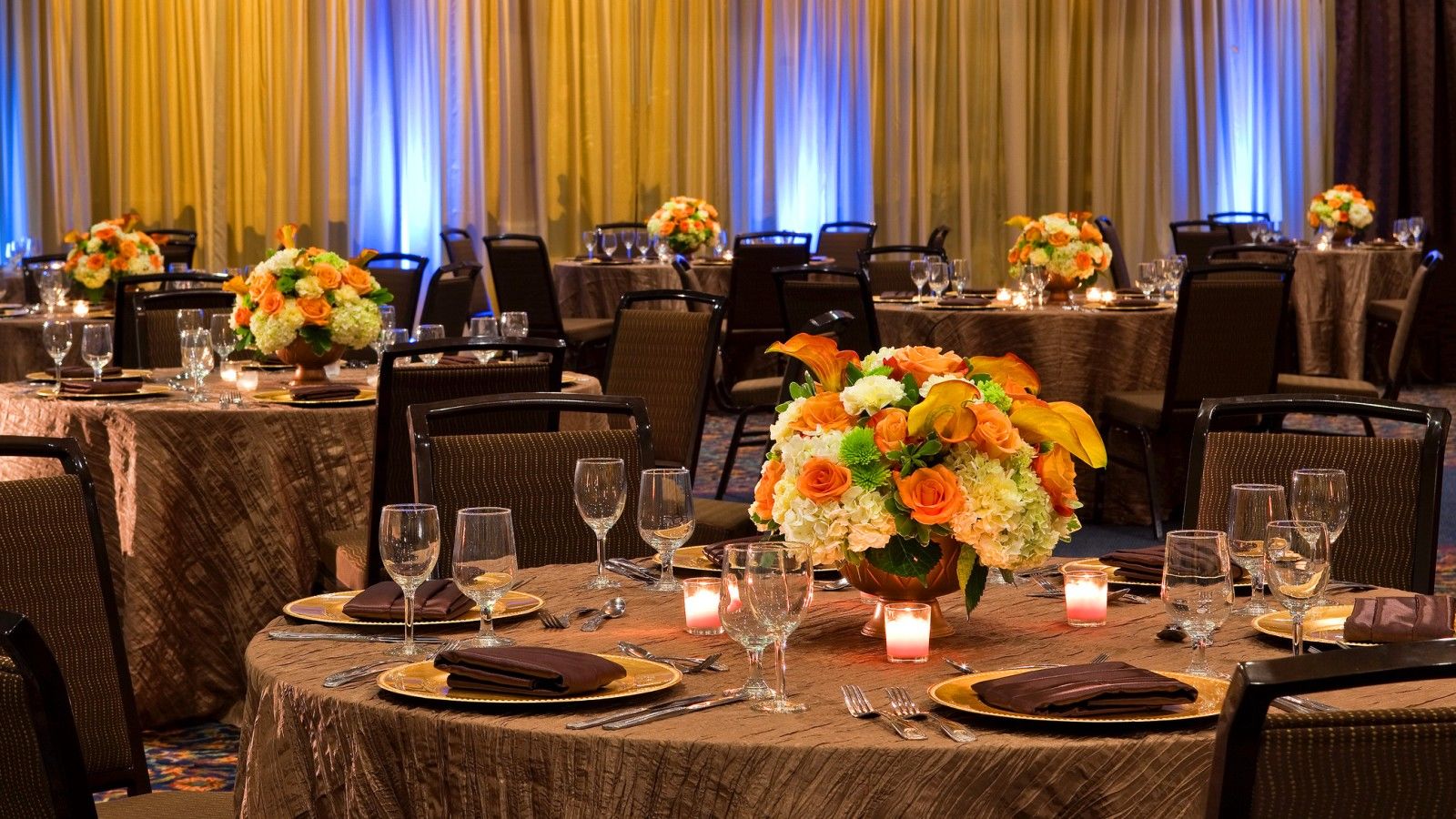 Sheraton Tampa Brandon Hotel Afaceri foto